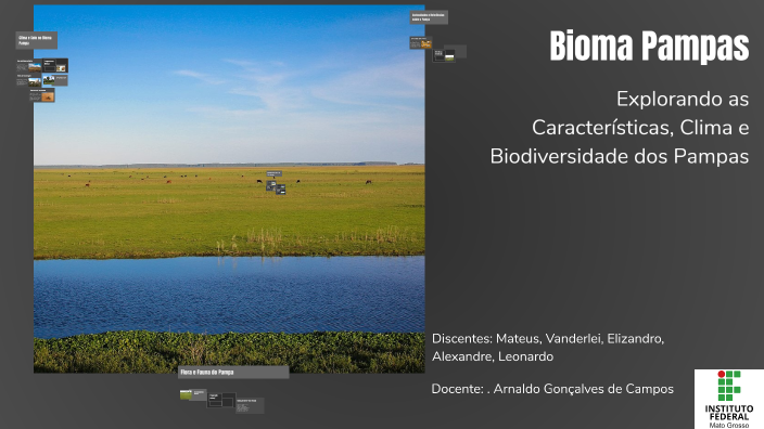 Bioma Pampas by defumado no forno on Prezi