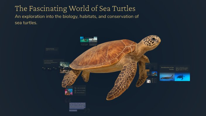 The Fascinating World of Sea Turtles by Linda Hixson on Prezi