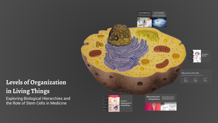 Levels of Organization in Living Things by Eduardo Chavez on Prezi