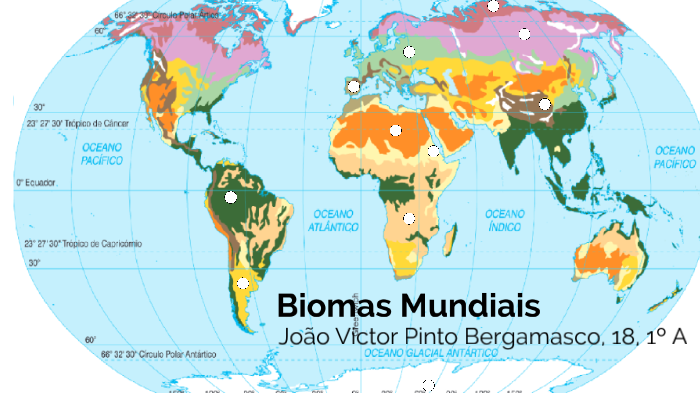 Biomas Mundiais 4992