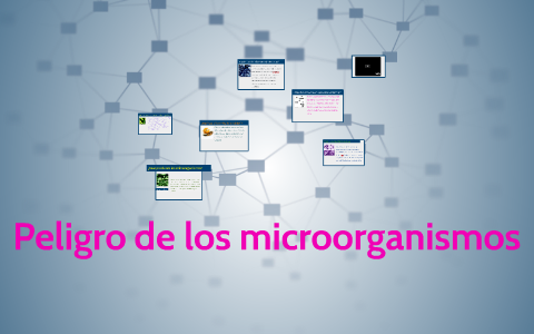 Peligro de los microorganismos by Jos león on Prezi