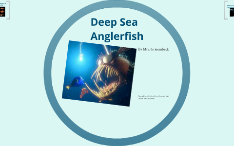 Deep Sea Anglerfish by Kathleen Griesenbeck on Prezi