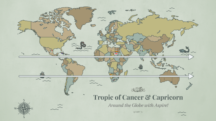 Tropic Of Cancer And Capricorn By Henry Meller 2161