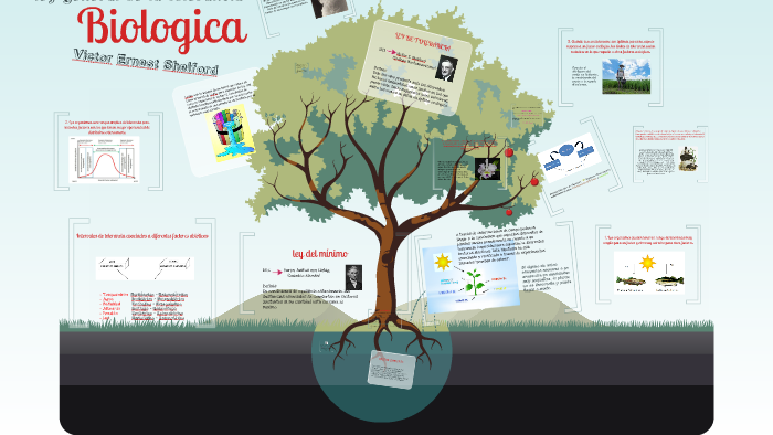 ley general de tolerancia biologica by silvia hernandez