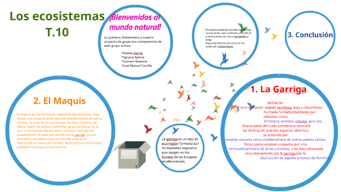 Los ecosistemas by nieves garcia on Prezi