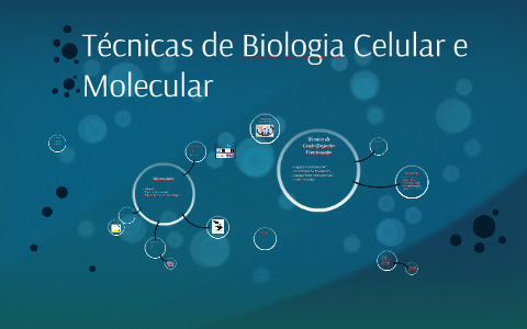 Técnicas De Biologia Celular E Molecular By Gil Freitas On Prezi