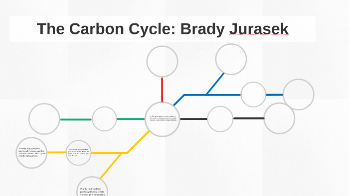 The Carbon Cycle by Brady Jurasek on Prezi