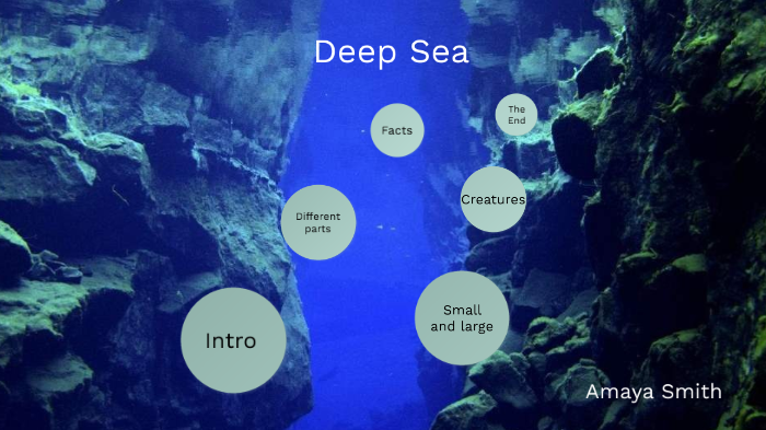 Deep ocean by Amaya Smith on Prezi