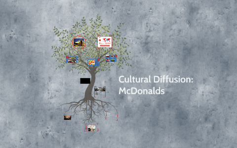 a case study on cultural diffusion mcdonalds in india