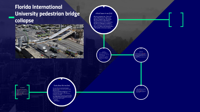 Florida visual data 7