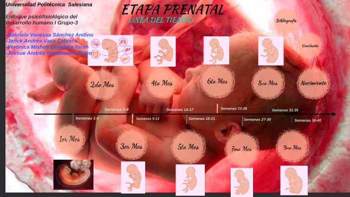 L Nea Del Tiempo Etapa Prenatal By Mishell Quimbita On Prezi