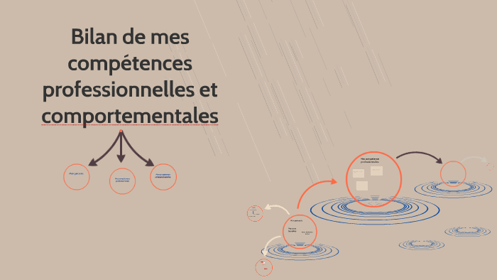 Bilan de mes compétences professionnelles et comportementale by Tom ...
