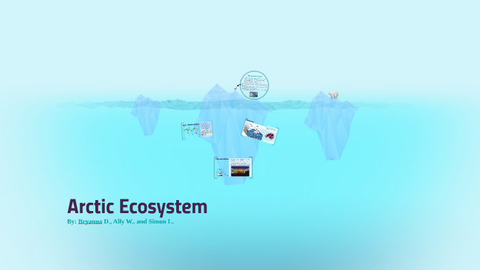 Arctic Ecosystem by B D on Prezi