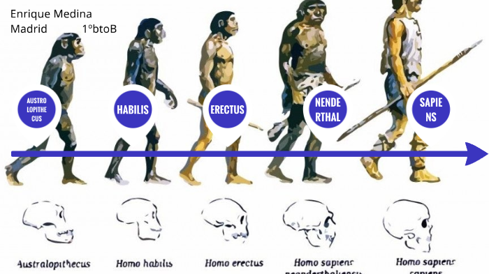 L Nea Del Tiempo Representando Desde El Primer Hom Nido Al Hombre