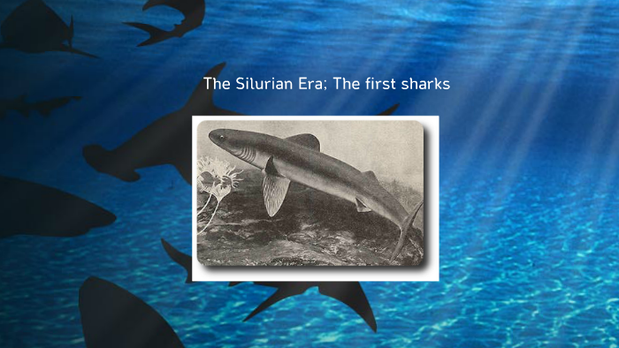 The Silurian Era; The first sharks by 상우 박 on Prezi