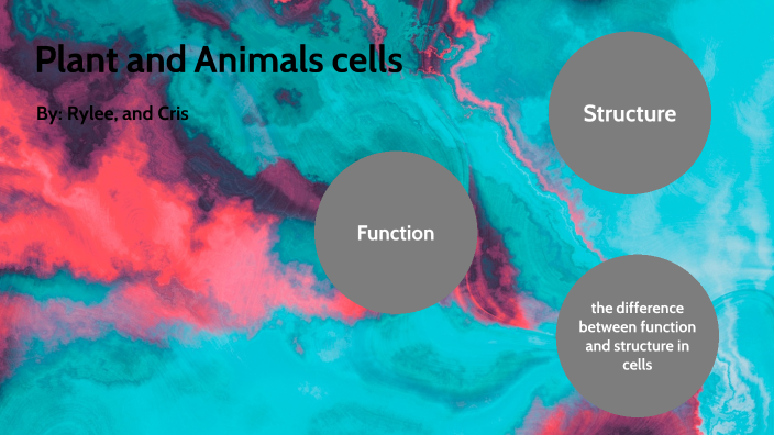 Plant and Animals cells by Rylee Anderson on Prezi
