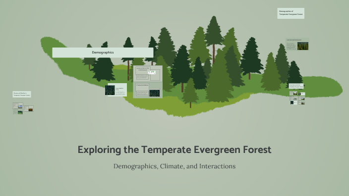 Exploring the Temperate Evergreen Forest by Akylee George on Prezi