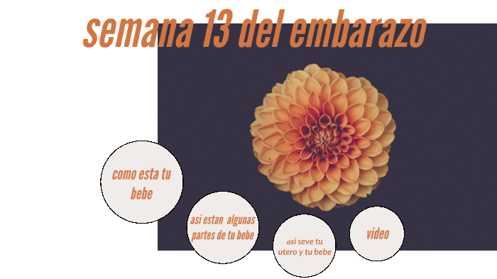 semana 13 de embarazo riesgos