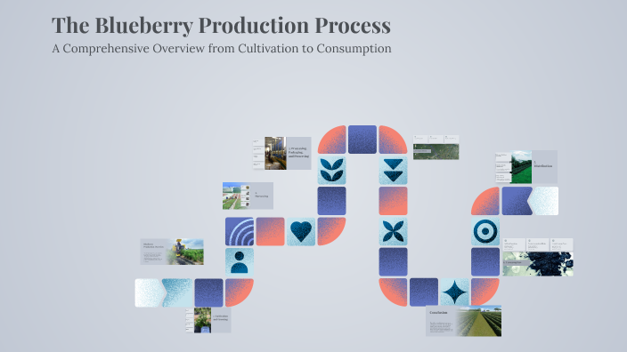 The Blueberry Production Process by Cyrus Lau on Prezi