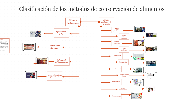 Clasificación De Los Métodos De Conservación De Alimentos By Andrea 7437