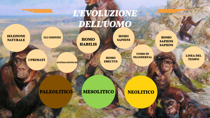 L'EVOLUZIONE DELL'UOMO By Ludovica Iacono On Prezi