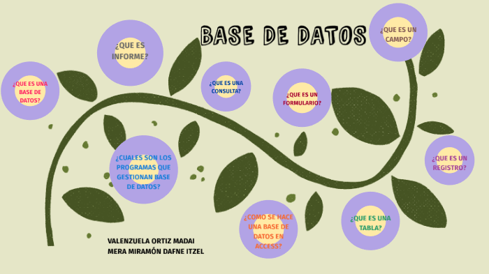 BASE DE DATOS by Madai Valenzuela Ortiz on Prezi