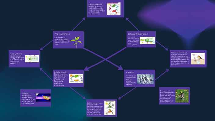 AP Bio Unit 3 Mind Map by George Gonzalez on Prezi