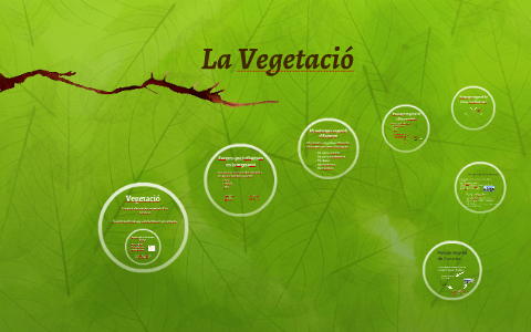 La Vegetació by