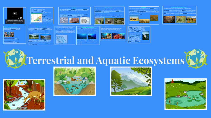 terrestrial ecosystems examples