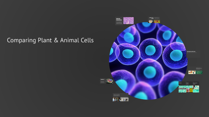 Examining Cells Without Microscopes by Alexis Johnson on Prezi