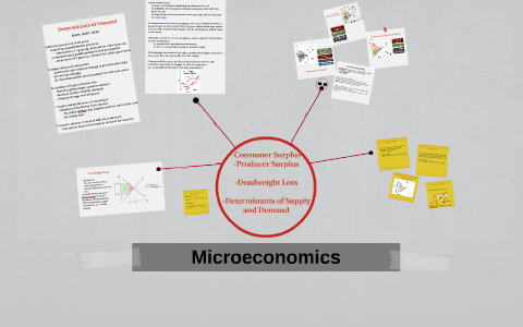 Econ Presentation by Julia Tu