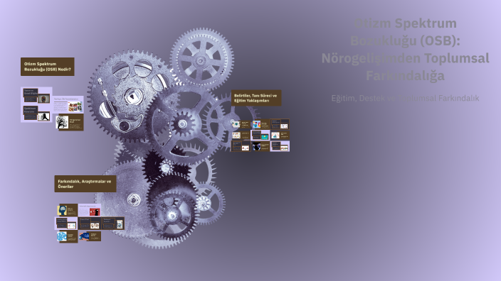 Otizm Spektrum Bozukluğu (OSB): Nörogelişimden Toplumsal Farkındalığa ...