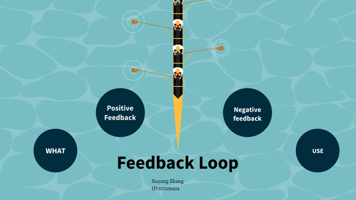 Feedback Loop by Xuyang Zhang on Prezi