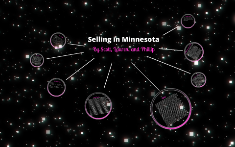 Nickel And Dimed Selling In Minnesota Lauren Leitner