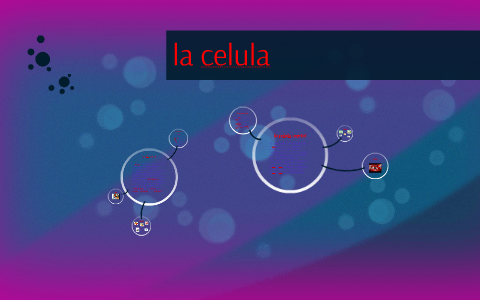 la celula by mayra ruiz on Prezi