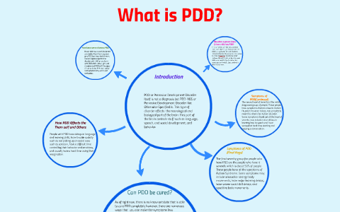 What is PDD? by Libby Seth Lexi Nick People on Prezi