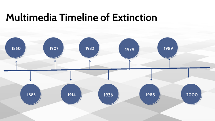 multimedia presentation of a timeline of extinction