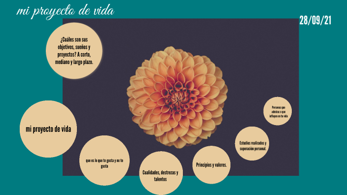 proyecto de vida by Angie Karina Ortiz Arenas on Prezi