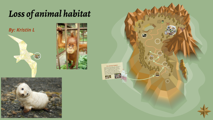 Loss of animal habitat by K L