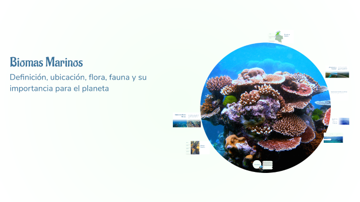 Biomas Marinos by mariana on Prezi