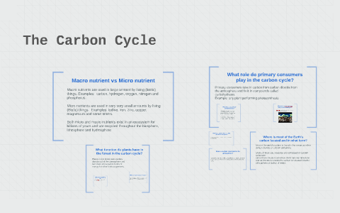 The Carbon Cycle By Lindsay Marchant On Prezi