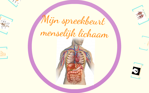 spreekbeurt menselijk lichaam by Dureg Rijswijk on Prezi