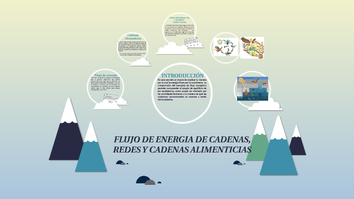 Diferencia Entre Flujo De Energia Y Flujo De Materia