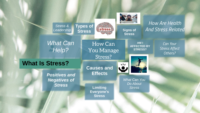 The Effects of Stress by Micaiah Russell on Prezi