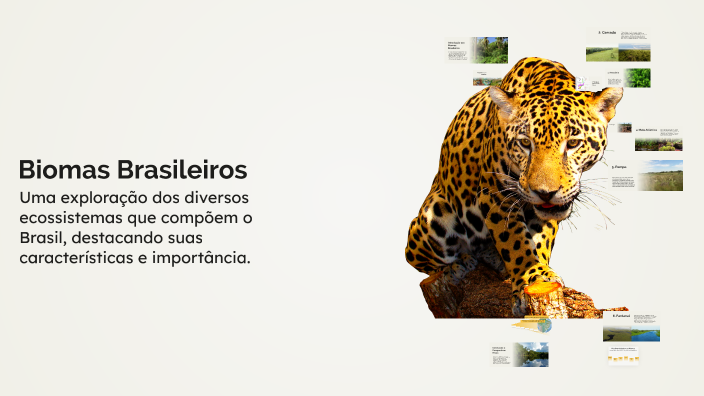 Biomas Brasileiros by Kamilla Araujo on Prezi