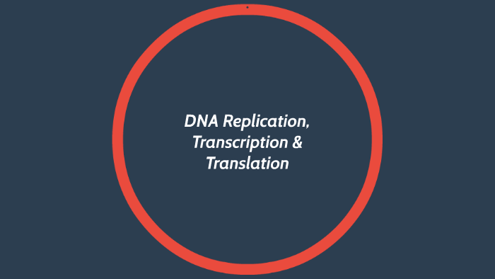 DNA Replication, Transcription & Translation by Kat Mejia on Prezi
