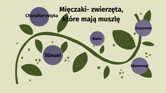 Mięczaki- zwierzęta, które mają muszlę by Sylwia Kaniewska on Prezi