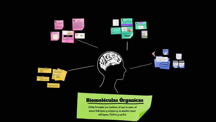 Biomoléculas Orgánicas by Angie Hinestroza Chaparro on Prezi Next