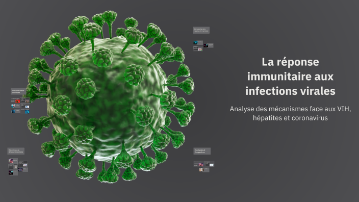 La réponse immunitaire aux infections virales by Fatimaezzahrae ...