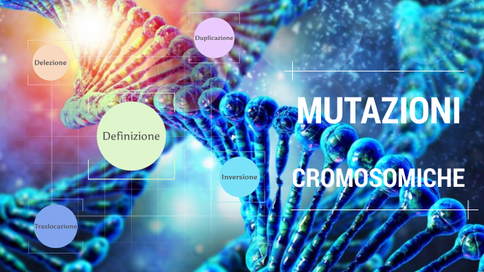 duplicazione di mutazioni cromosomiche